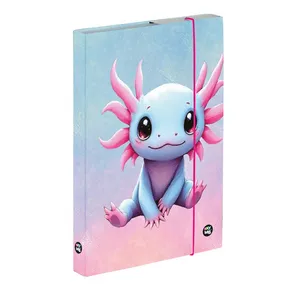A5 Axolotl Notizbuchbox